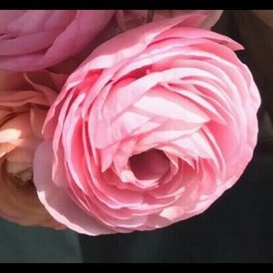 Meet your Posher, Rocio